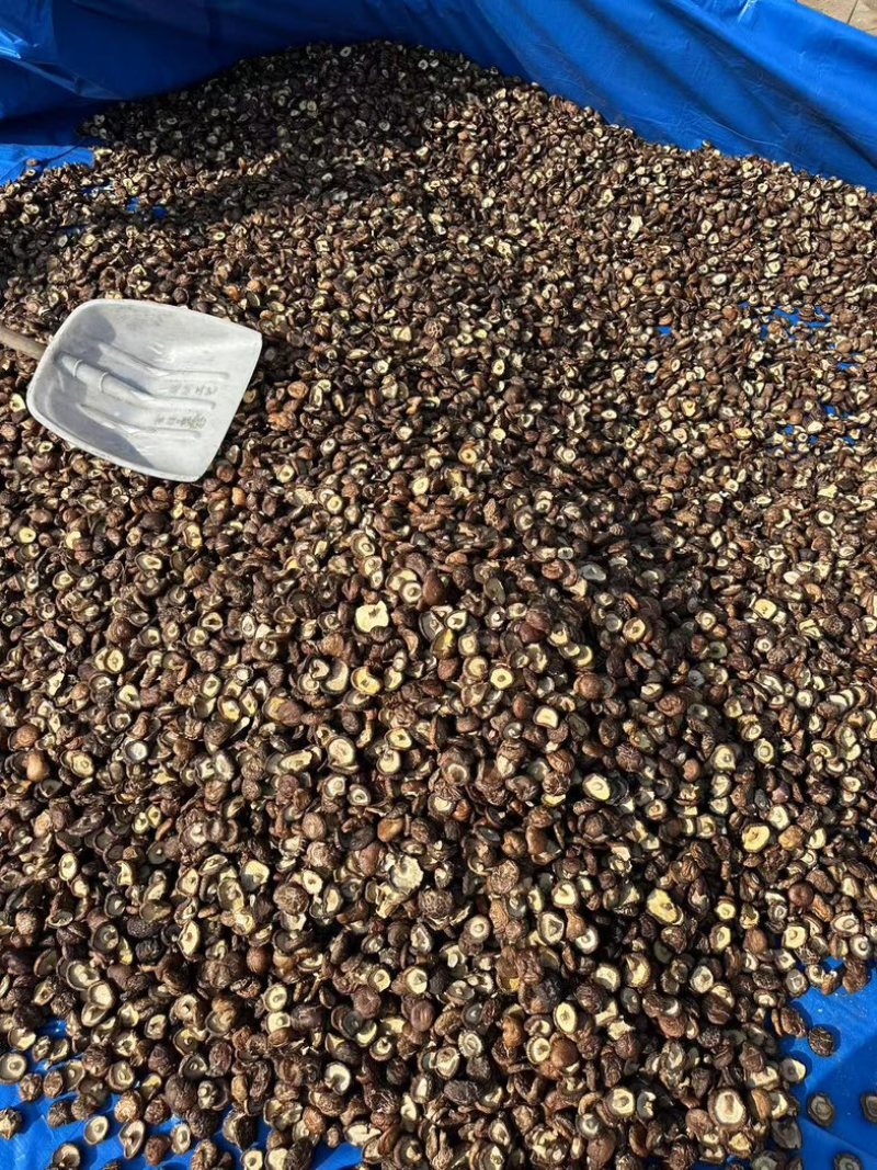 泌阳香菇油面干香菇产地直供大量供应规格齐全