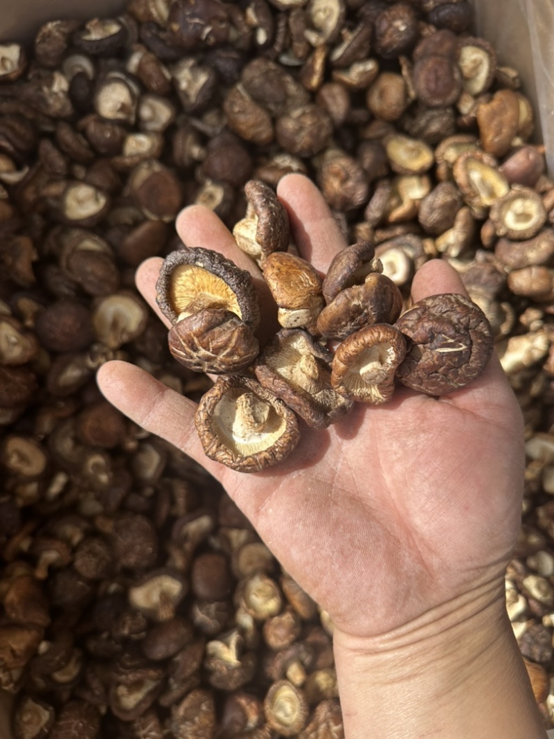 泌阳香菇油面干香菇产地直供大量供应规格齐全