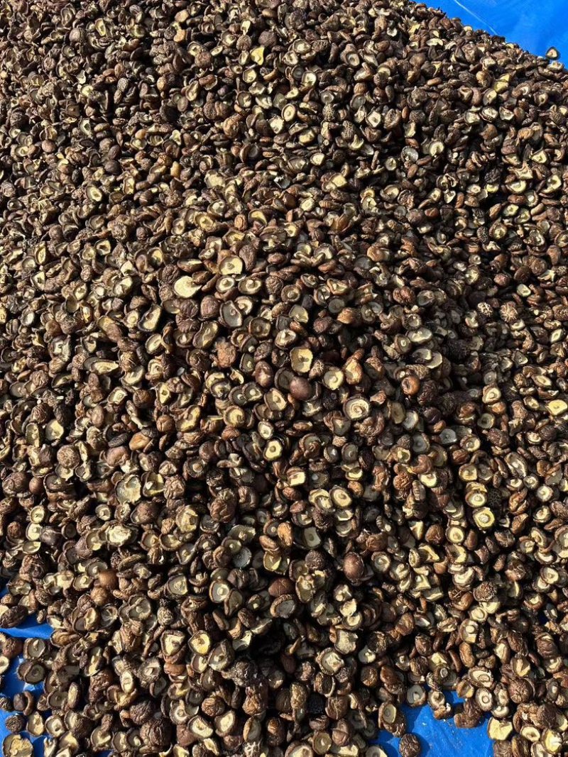 泌阳香菇油面干香菇产地直供大量供应规格齐全