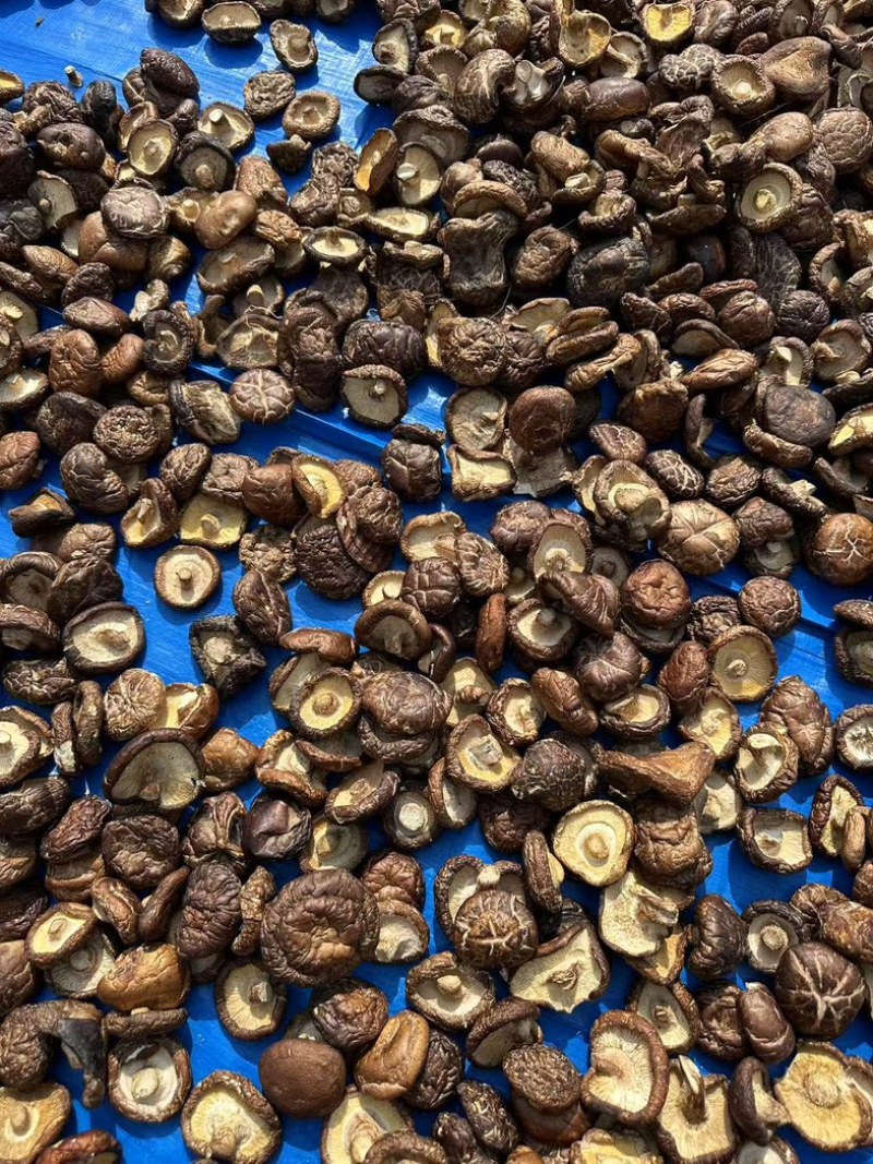 泌阳香菇油面干香菇产地直供大量供应规格齐全