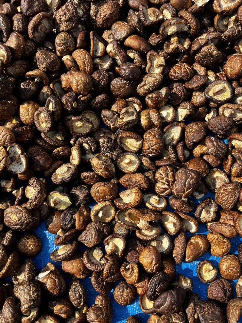 泌阳香菇油面干香菇产地直供大量供应规格齐全