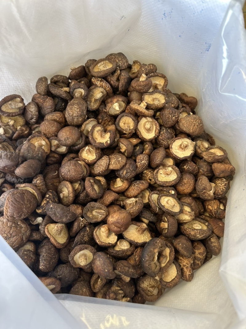 泌阳香菇油面干香菇产地直供大量供应规格齐全
