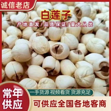 正宗广昌白莲子新货特级无熏硫江西特产手工莲子干货批发