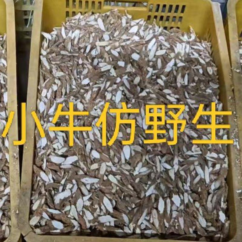 牛大力小牛干片粉质无硫精品手工挑选一手货源