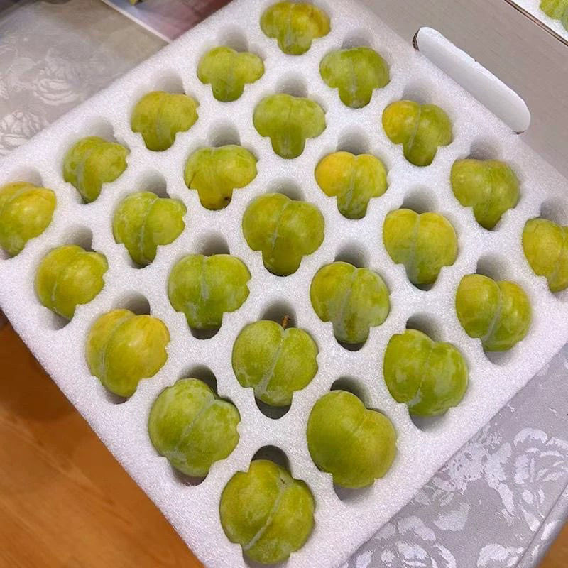 蜂糖李～一件代发贵州六马蜂糖李～精品电商果对接各大电商