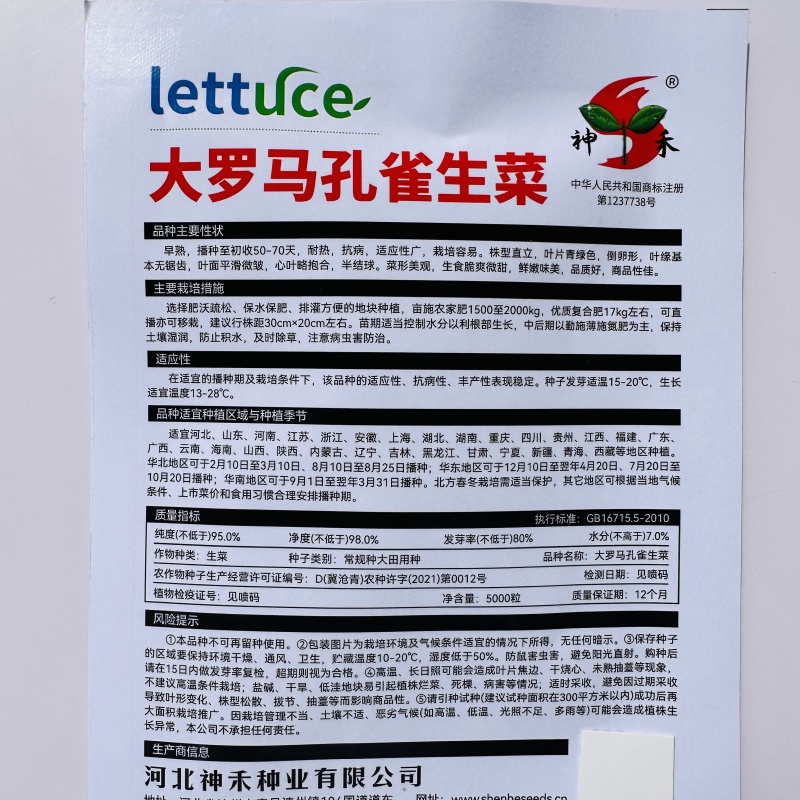 大罗马生菜种子四季大颗孔雀菜种子半结球生菜种籽庭院阳台
