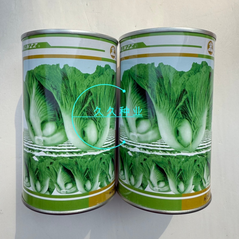 大肉包心芥菜种子中早熟包心芥菜抗病耐热耐湿春秋季播蔬菜