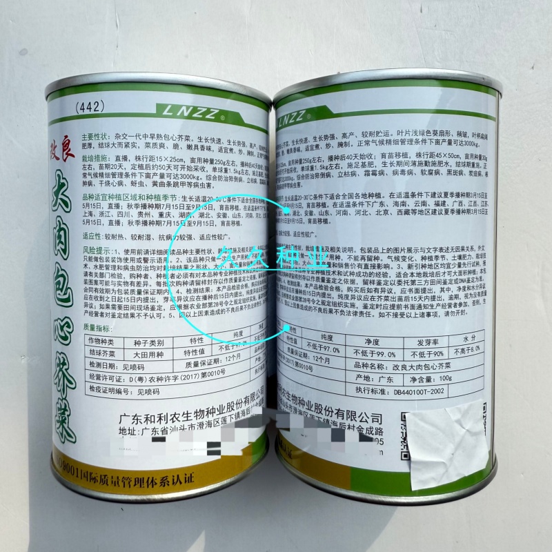 大肉包心芥菜种子中早熟包心芥菜抗病耐热耐湿春秋季播蔬菜