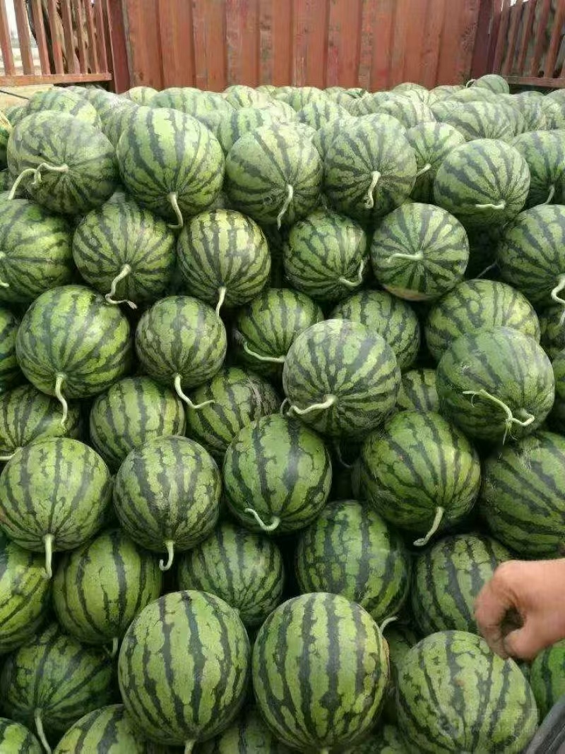 西瓜