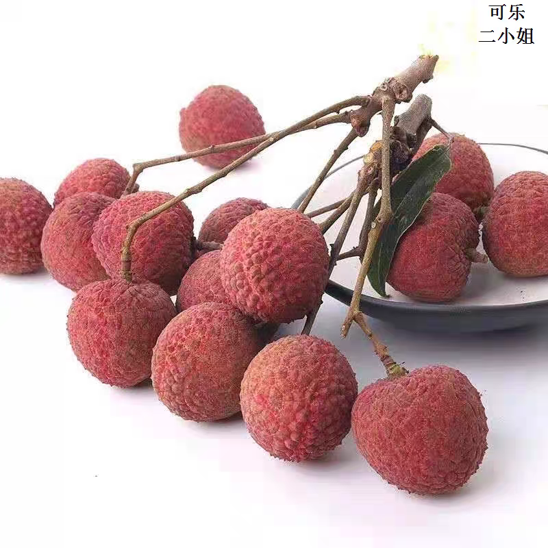 果园直销黑叶荔枝乌叶