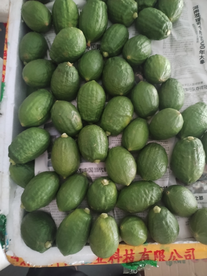 广东香水柠檬一级果二级果批发