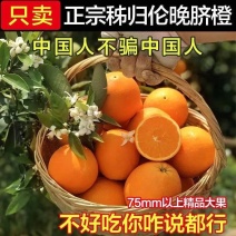 【伦晚脐橙】秭归脐橙湖北脐橙/新鲜采摘皮薄肉厚/全国发货