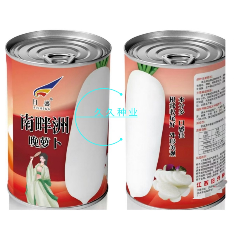 南畔洲晚萝卜晚熟萝卜种子皮肉白色质脆味甜水分多白萝卜种子