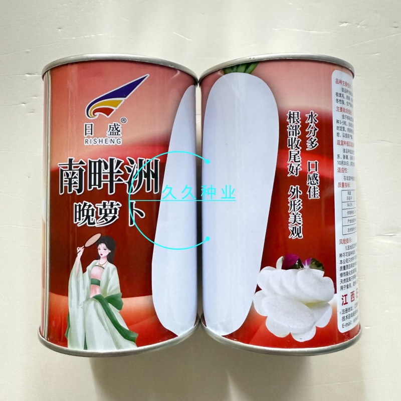 南畔洲晚萝卜晚熟萝卜种子皮肉白色质脆味甜水分多白萝卜种子