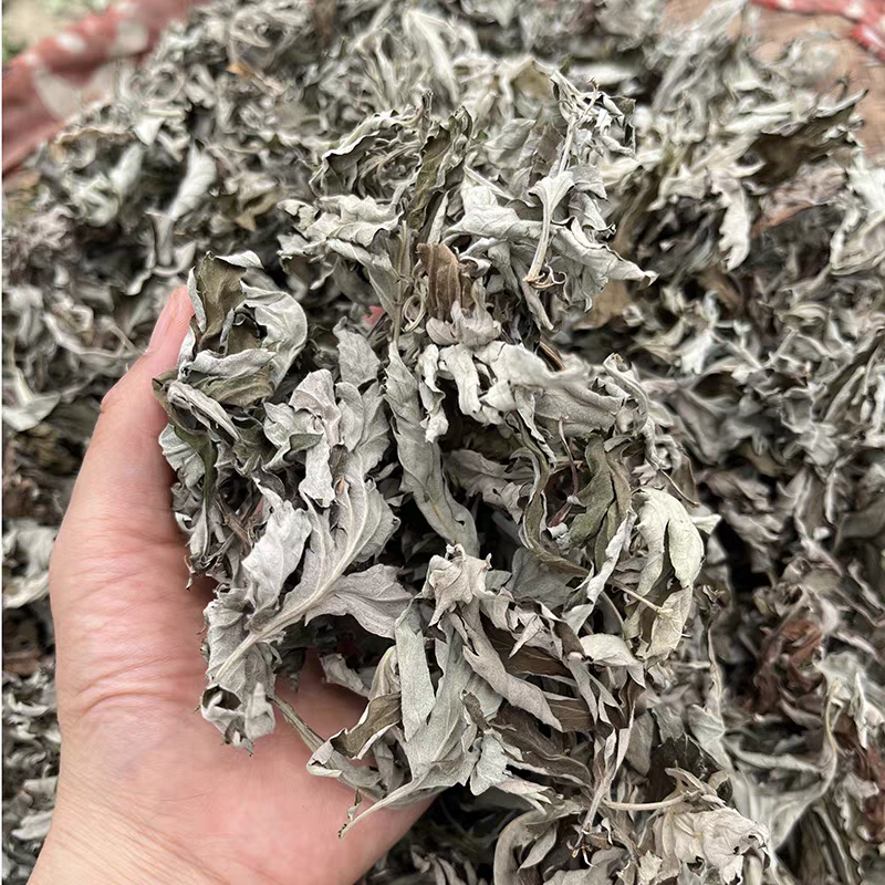 湖南湘西野生艾叶干艾草对接所有批发商不零售