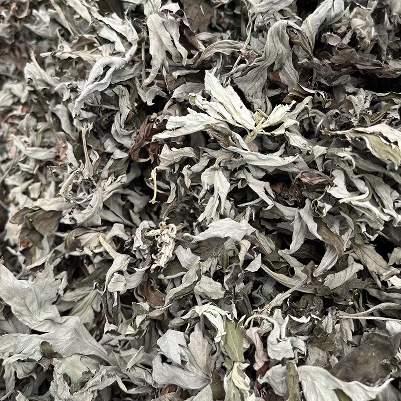 湖南湘西野生艾叶干艾草对接所有批发商不零售