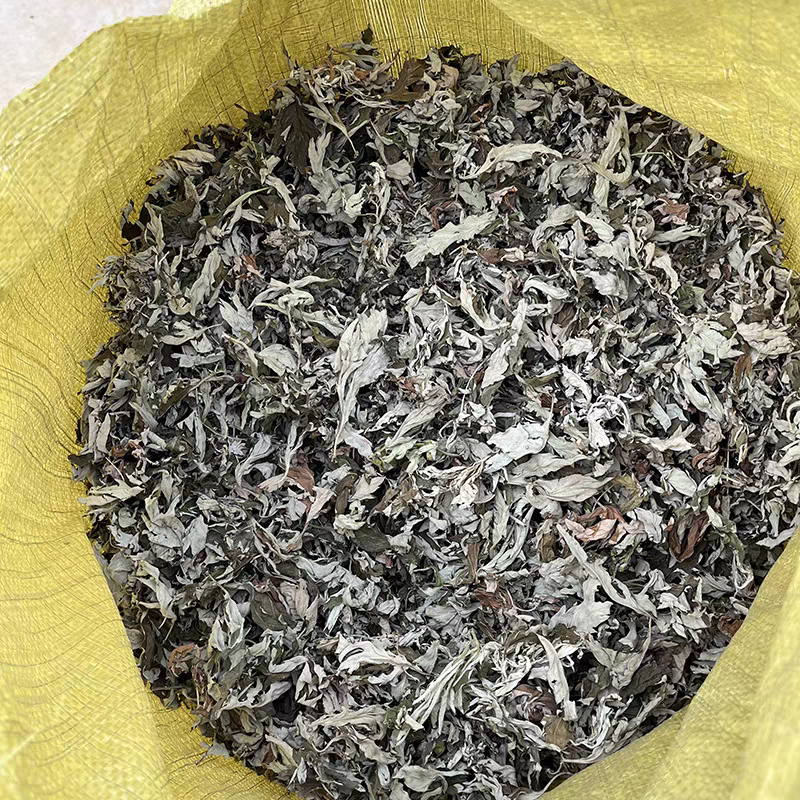 湖南湘西野生艾叶干艾草对接所有批发商不零售