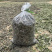 湖南湘西野生艾叶干艾草对接所有批发商不零售