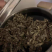 湖南湘西野生艾叶干艾草对接所有批发商不零售