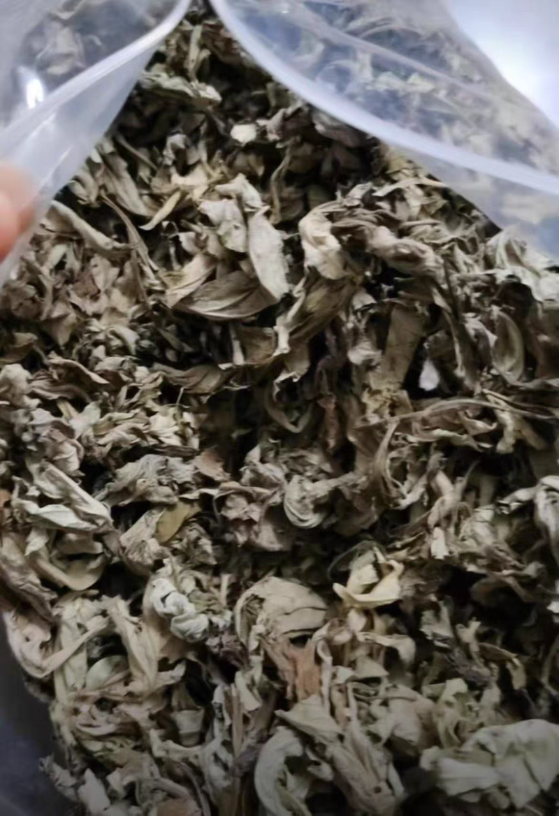 湖南湘西野生艾叶干艾草对接所有批发商不零售