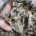 湖南湘西野生艾叶干艾草对接所有批发商不零售