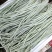 日盛白金刚白豇豆种子早中熟耐高温白豆角种籽春夏季播长豇豆