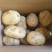烟台荷兰十五沃土五号土豆电商团购一件代发