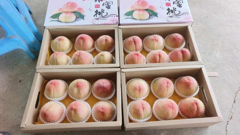 水蜜桃
