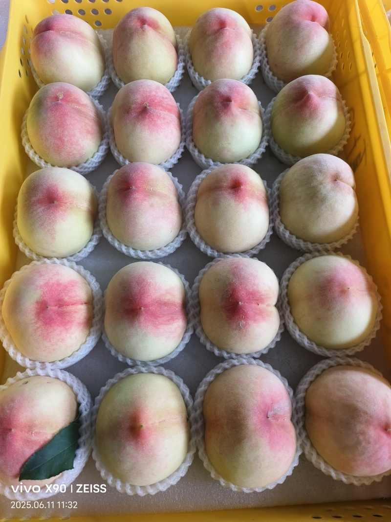 水蜜桃