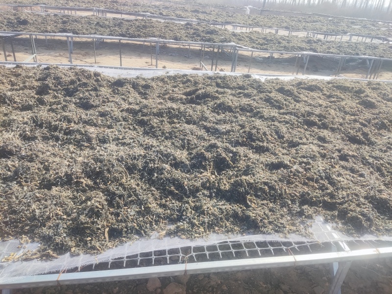 梅干菜水洗精品货，加工厂直供