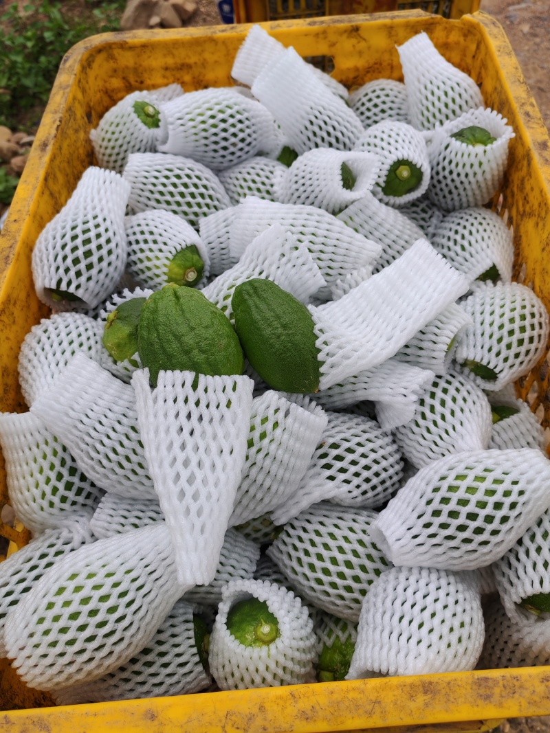 广东香水柠檬无籽！自己家山区种植0污染，爆香奶茶店专用