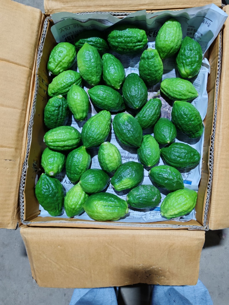 广东香水柠檬无籽！自己家山区种植0污染，爆香奶茶店专用