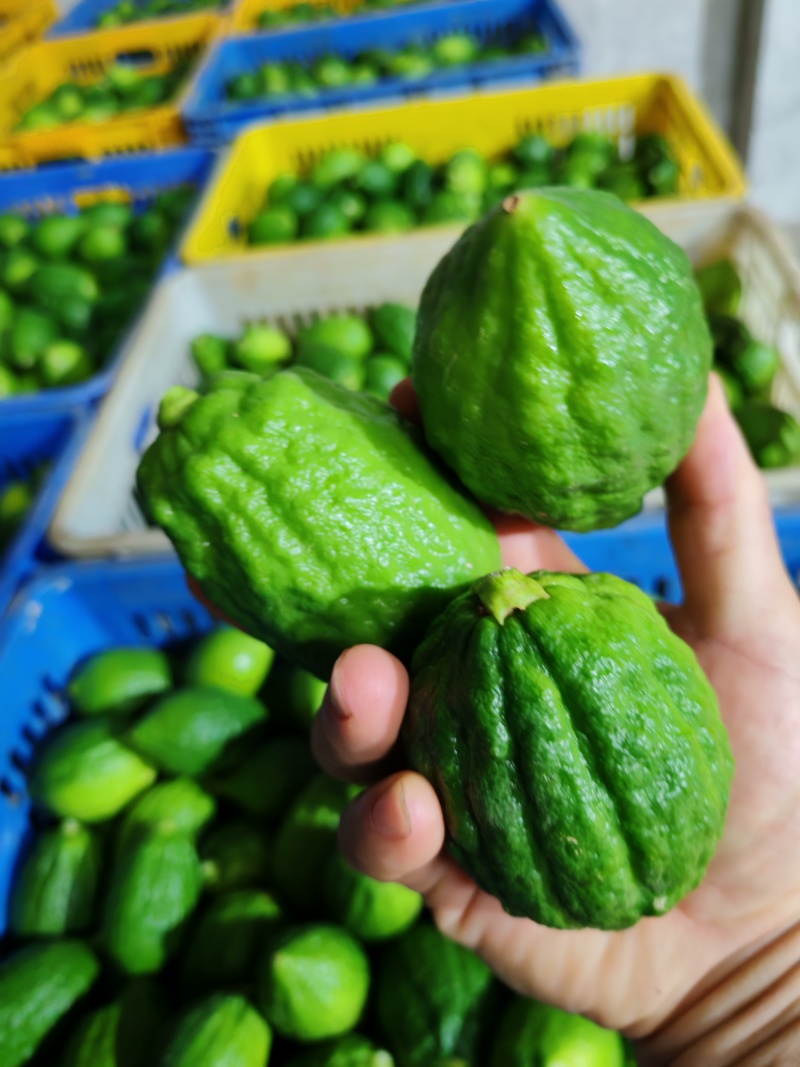 广东香水柠檬无籽！自己家山区种植0污染，爆香奶茶店专用
