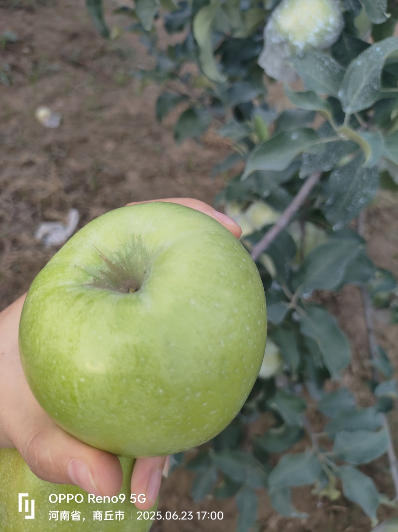 华硕苹果