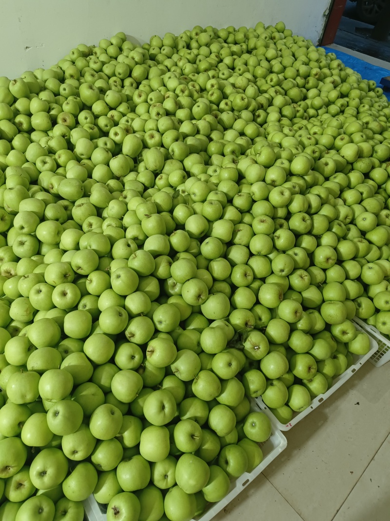 青苹果，