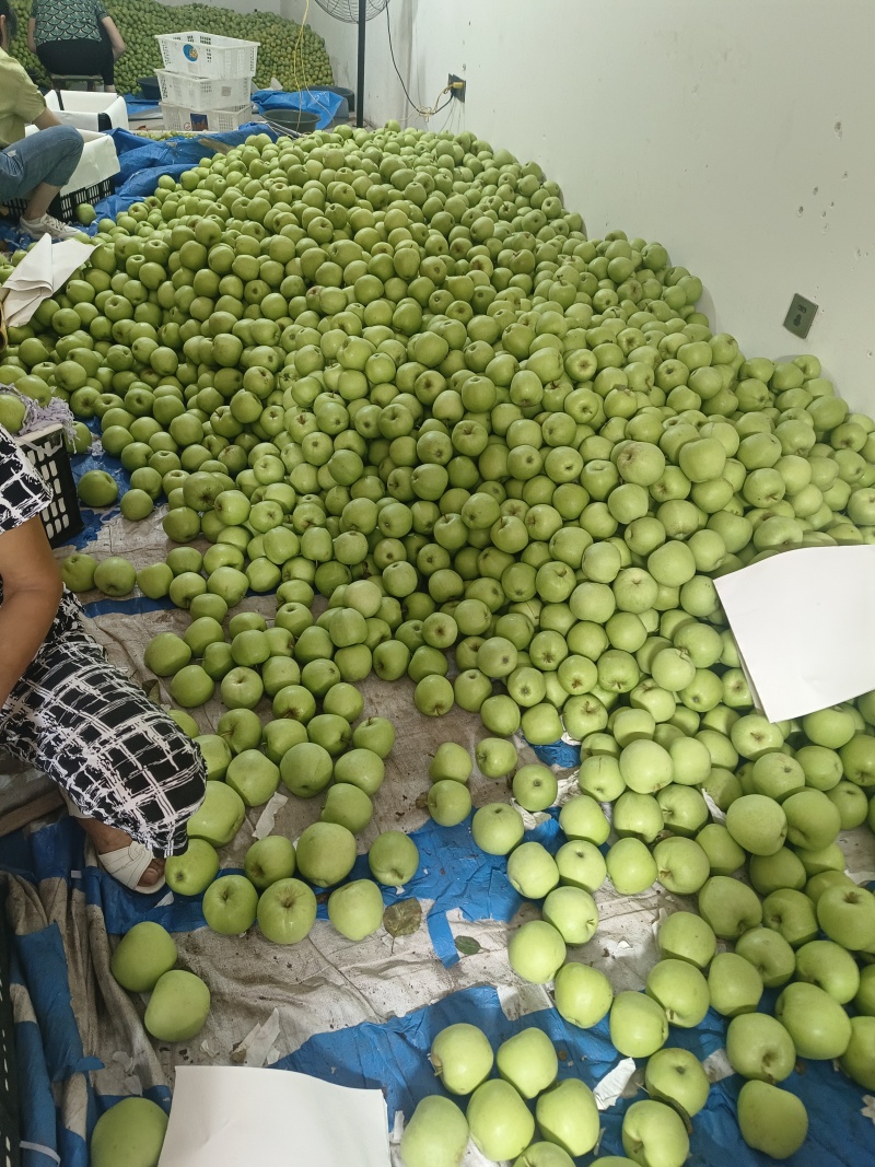 青苹果，