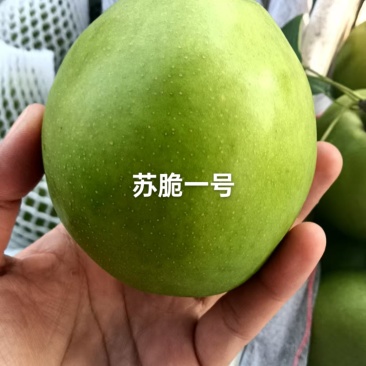 酥脆一号真是脆甜多滋，好吃不腻