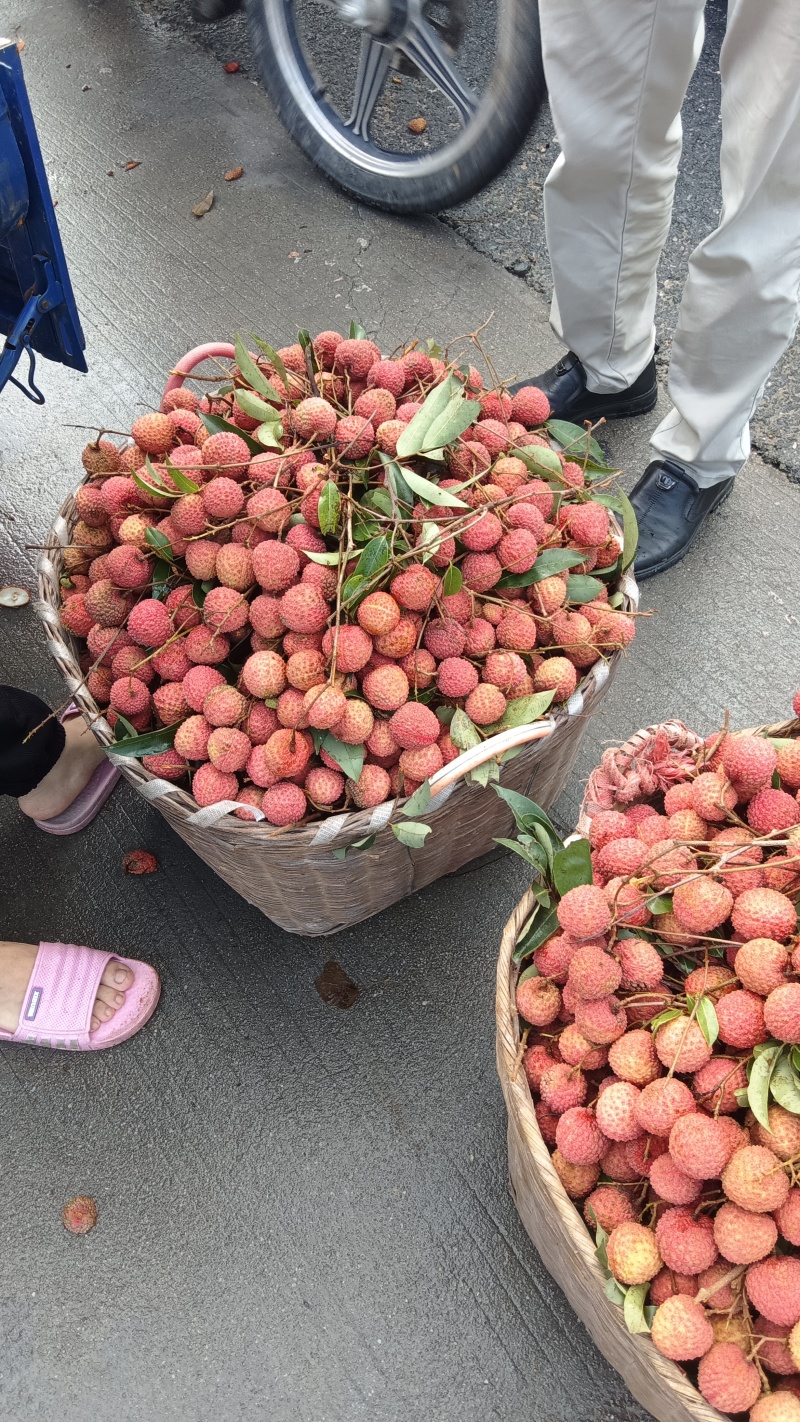 桂味