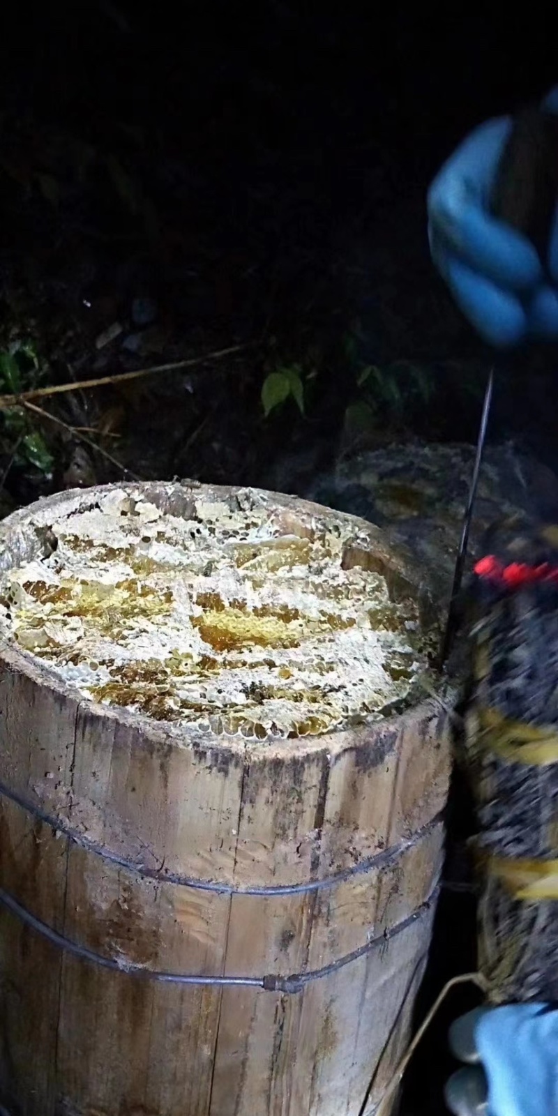 福建***野蜂蜜