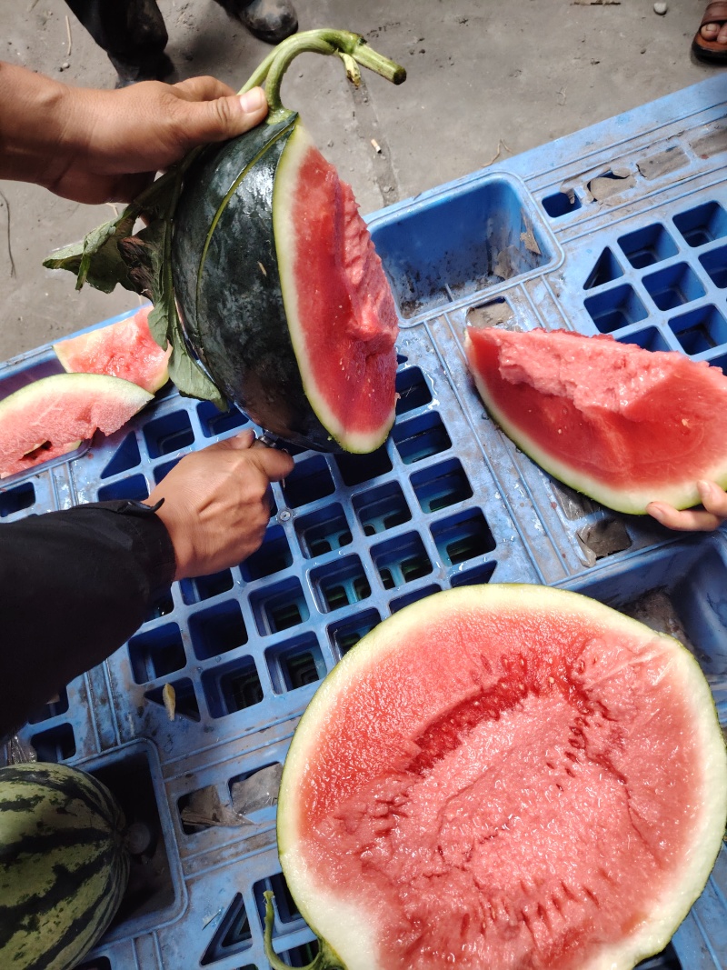 （热卖）精品美都西瓜大量上市，产地价格美丽，一手货源。