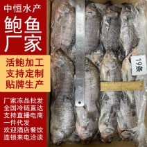 新鲜三去罗非鱼8斤19条装商用冷冻水产冻品批发