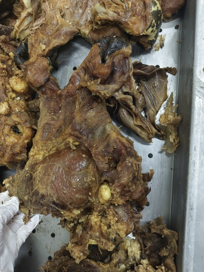 五香牛头肉
