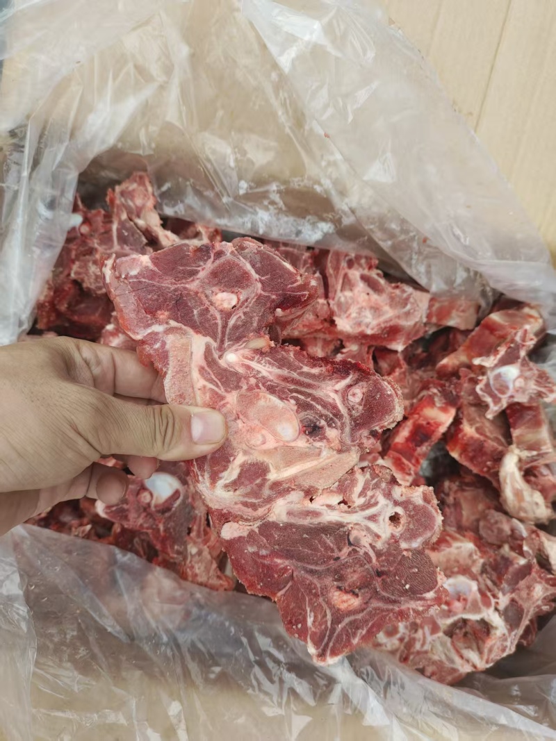 羊蝎子
