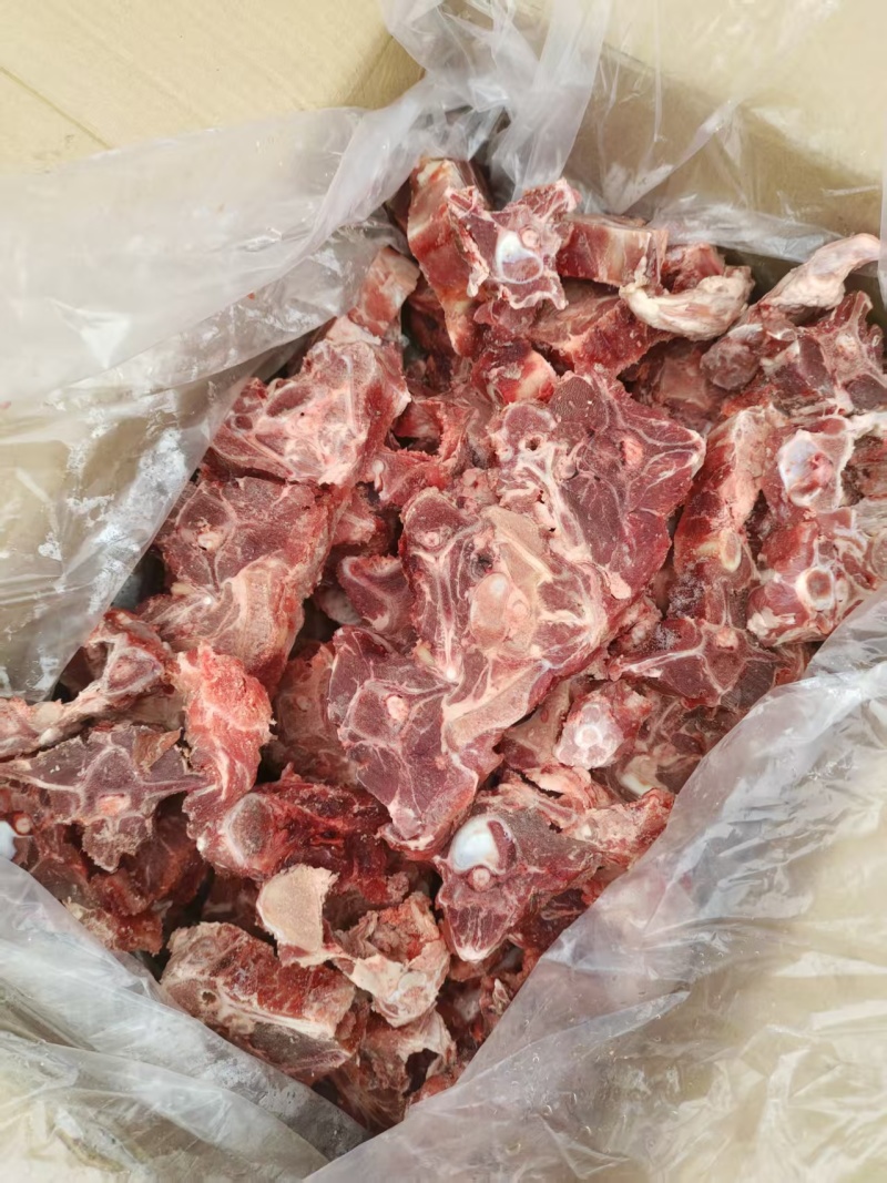 羊蝎子
