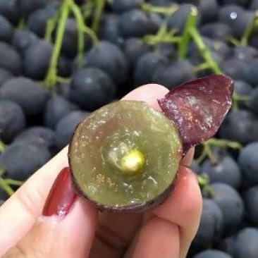 【推荐】巨峰葡萄大量接单产地直发量大从优欢迎来电