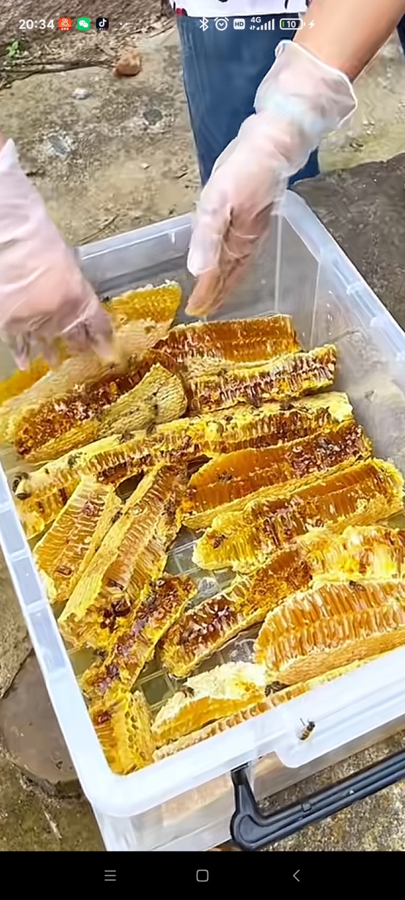百花蜜土蜂蜜