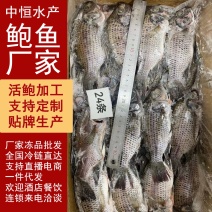 三去罗非鱼8斤24条装新鲜冷冻水产冻品批发