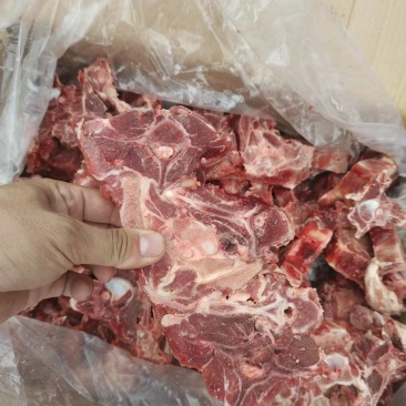 牛脊骨