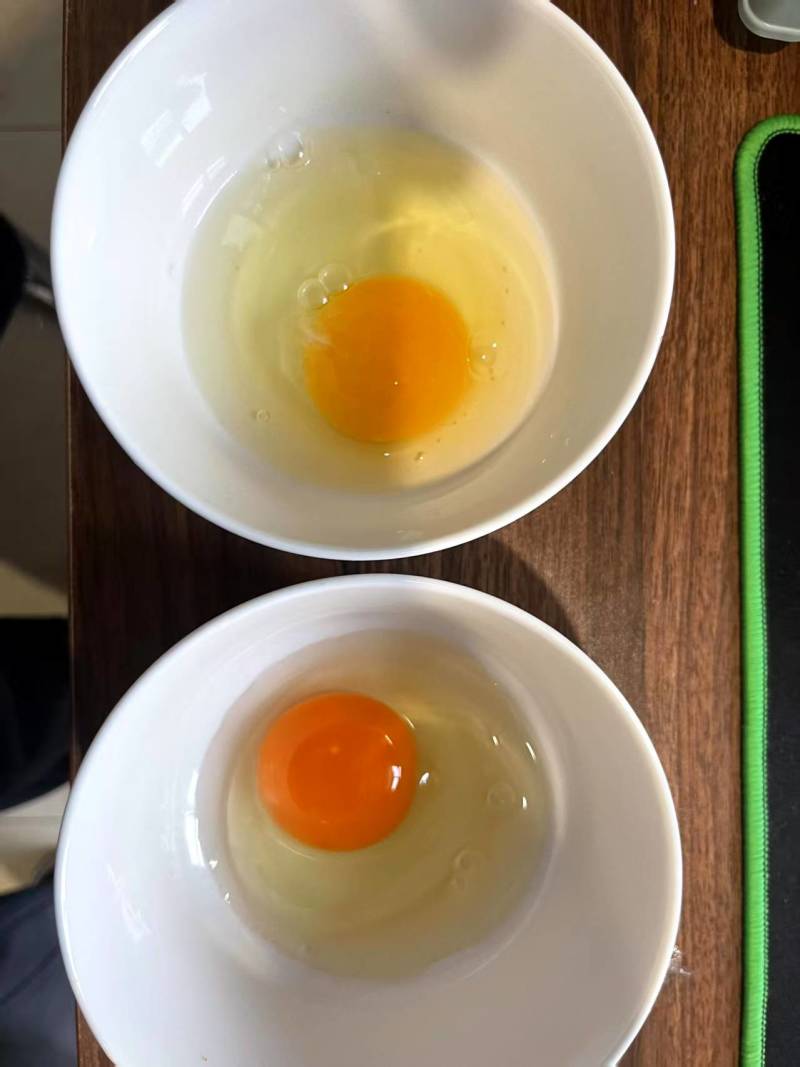 河北赛牧无抗鲜蛋谷物喂养无抗生素鸡蛋营养丰富