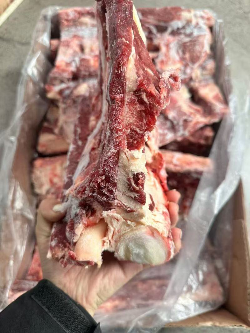 牛腰椎骨